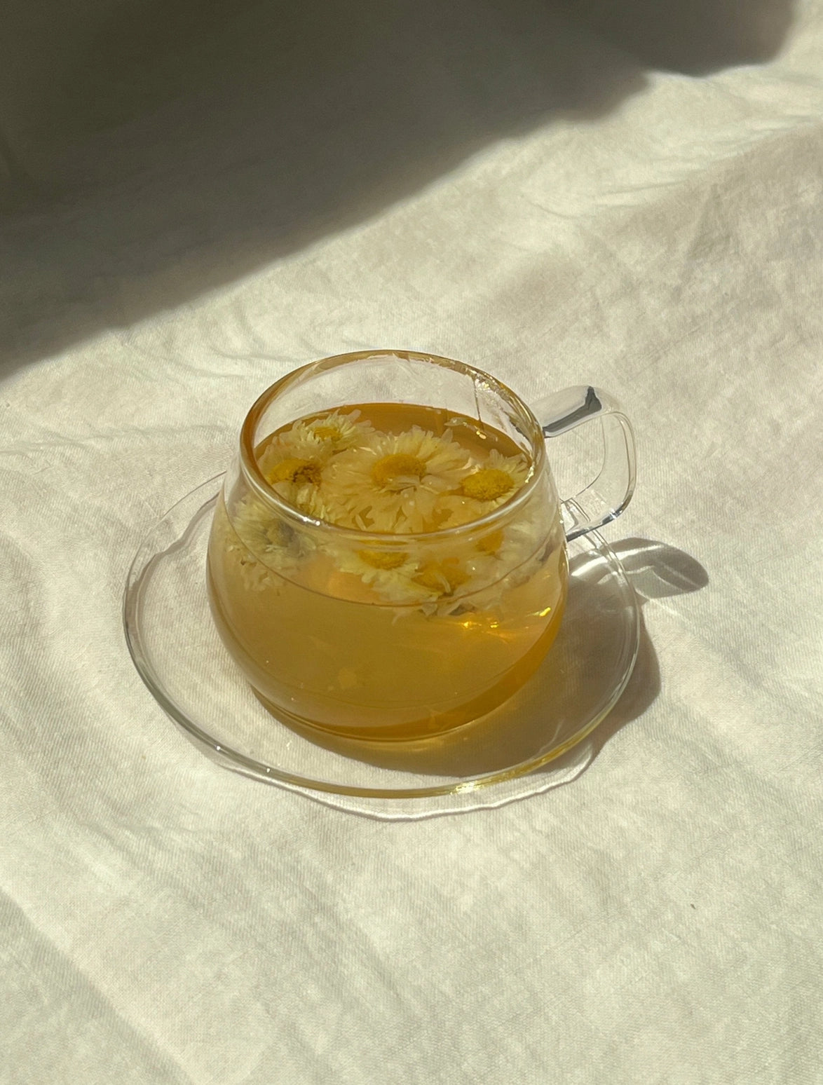 Wild Chrysanthemum Tea (Tai Ju / Gong Ju)