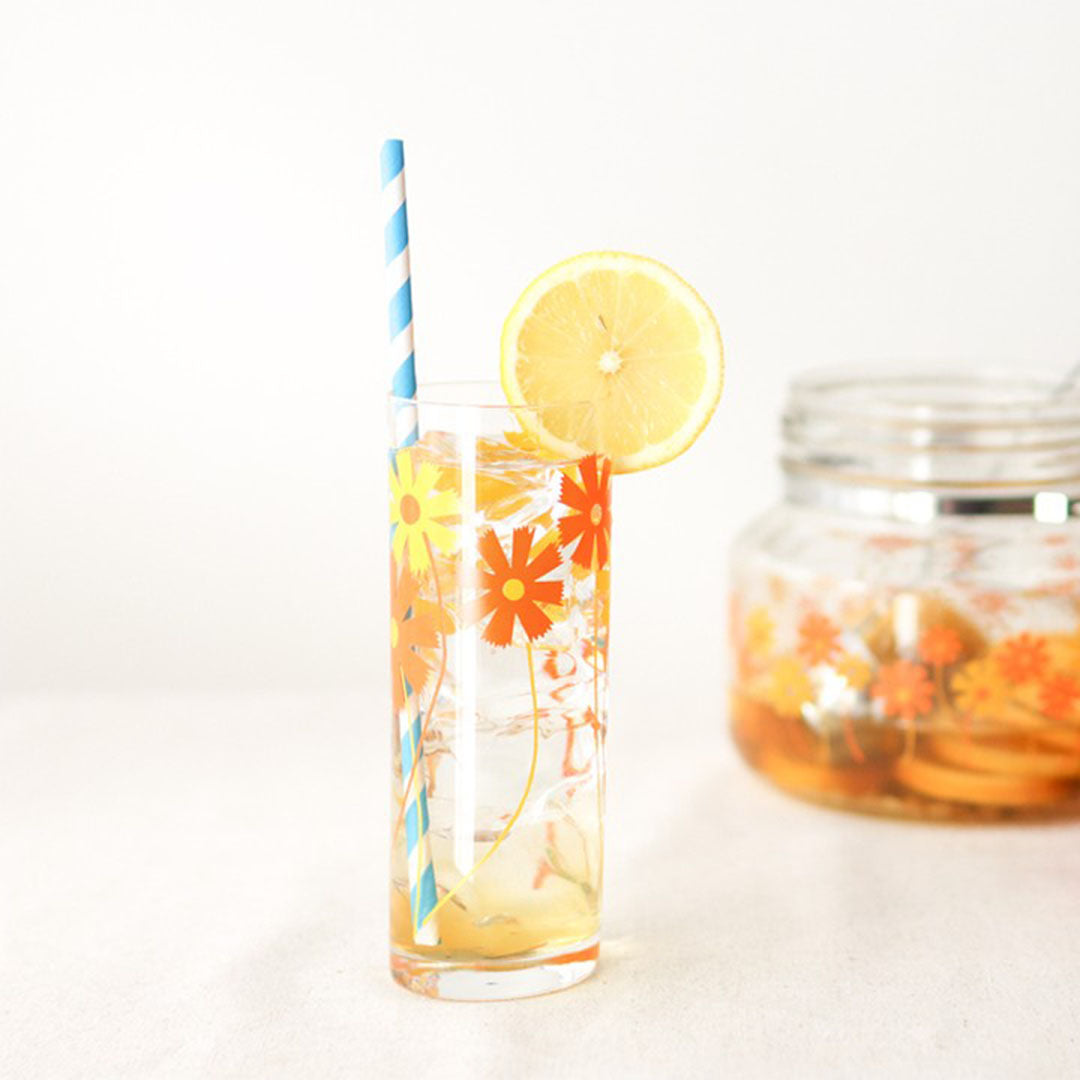 Aderia Retro Tall Glass