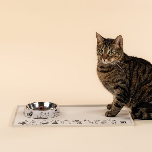 Moomin 80 Limited for Cat Pets Food Bowl