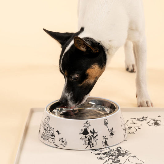 Moomin 80 Limited for Pets Food Bowl M