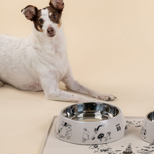Moomin 80 Limited for Pets Food Bowl XL