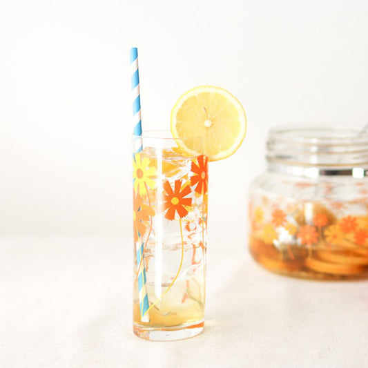 Aderia Retro Tall Glass